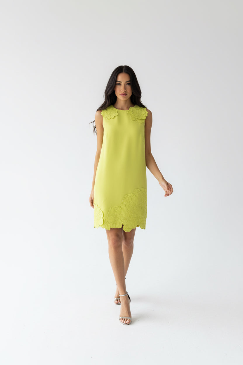 Chartreuse Embroidery Mini Dress