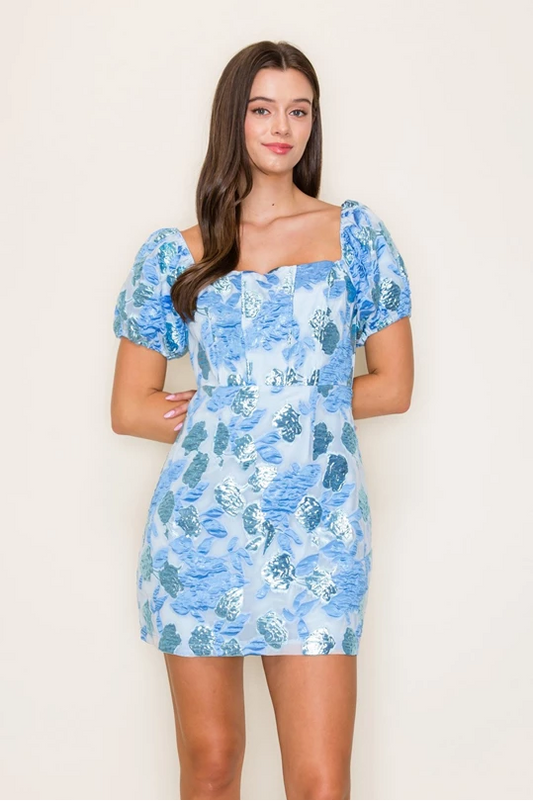 Chambray Puff Sleeve Mini Dress