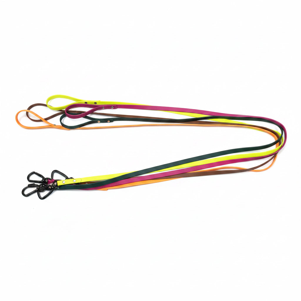 Small Dog Leashes 4'