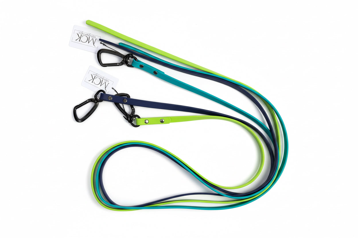 Dragline Dog Leashes