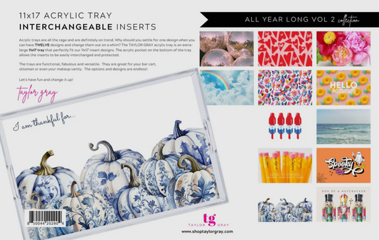 Large Acrylic Tray Inserts