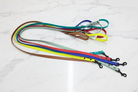 No D Ring Dog Leashes 6'
