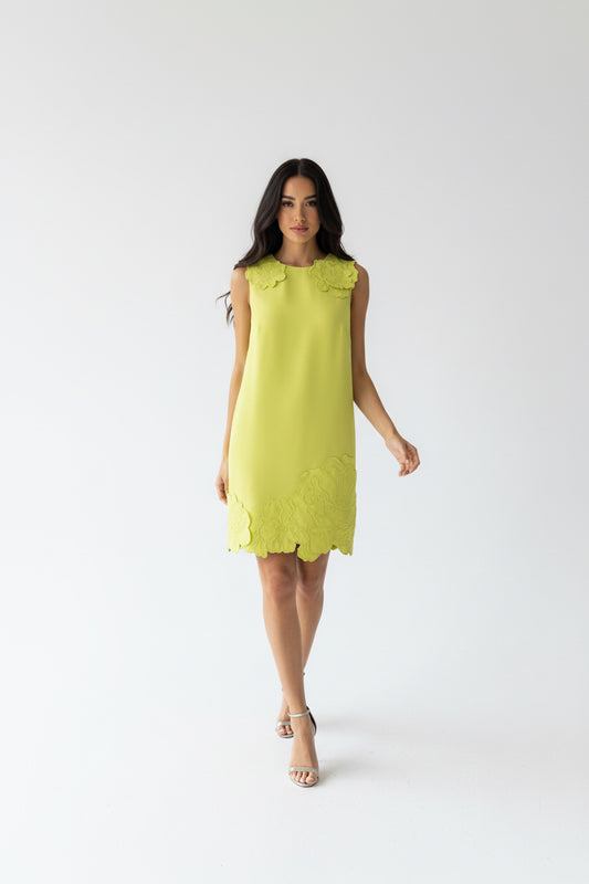 Chartreuse Embroidery Mini Dress